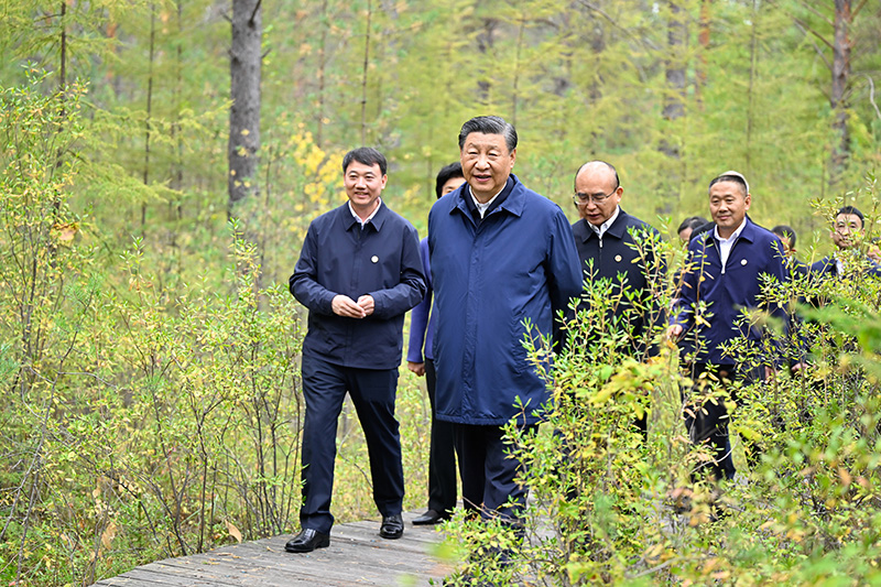 9月6日至8日，中共中央總書記、國家主席、中央軍委主席習(xí)近平在黑龍江考察。這是6日下午，習(xí)近平在大興安嶺地區(qū)漠河市漠河林場自然林區(qū)考察